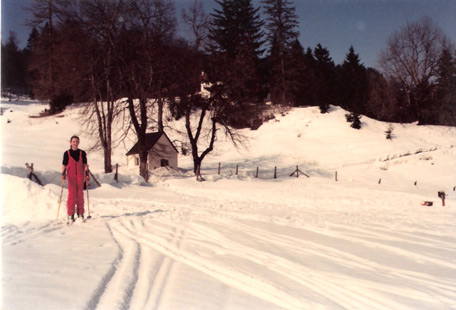 Skifahren am Reintalerhof